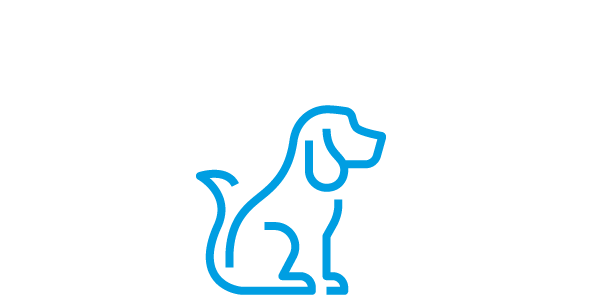 Animais de Companhia